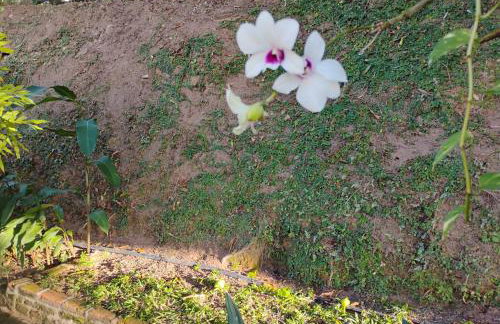 Olinda sítio Histórico Alto da Sé - Foto 2