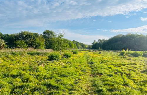 Black Pan Holiday Cottage - Foto 15