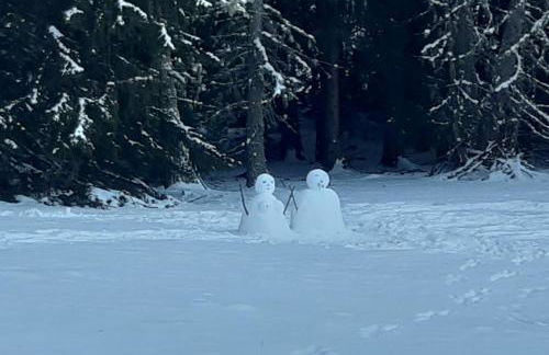 Charmant appartement avec espace détente - Photo 15