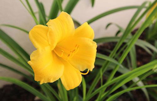 Casa René - Charming apartments - Foto 142