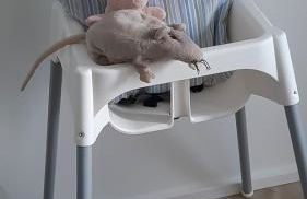 Ferienwohnung Neustadt-Wied - Foto 21