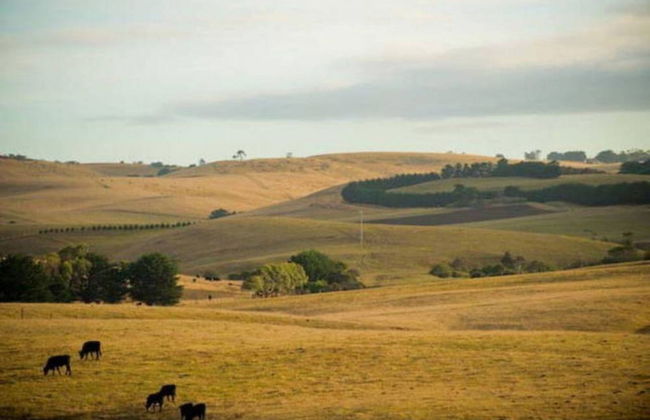 Killy Views Stunning Waterfront Pet Friendly Fireplace Free EV Charger 7 kW - Foto 20