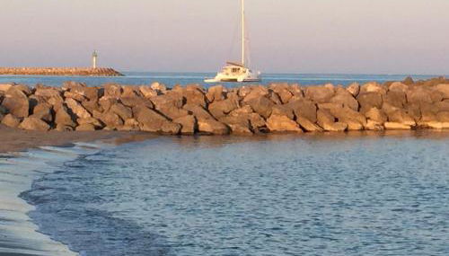 L'Aigrette Bleue - Foto 5