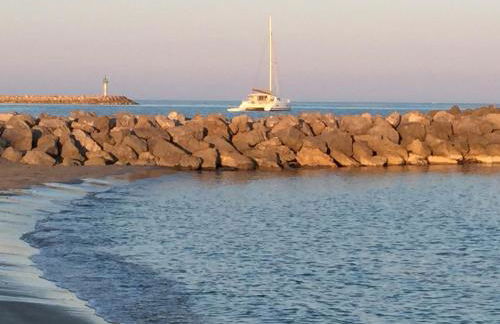 L'Aigrette Bleue - Foto 5