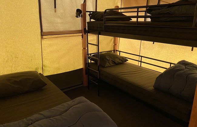 Holidaypark Duinhoeve - Photo 24