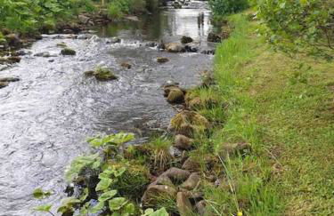 Homely Northumbrian Getaway - Foto 19