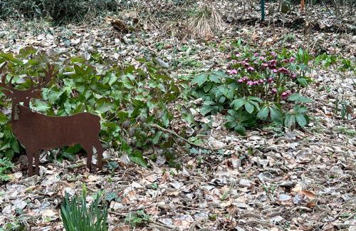 Ferienhaus Fuxbau - Foto 48