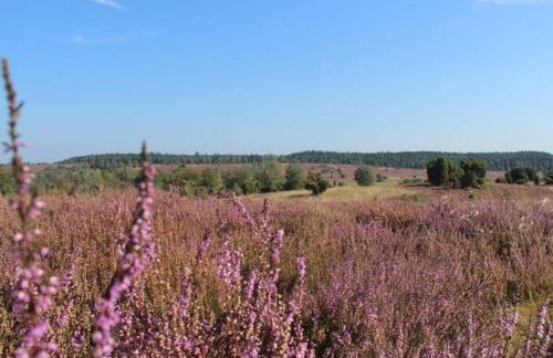 Ferienwohnung Heide View - Foto 48