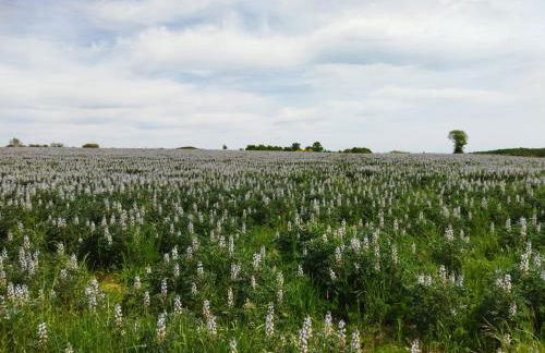 Le Chapitre - Foto 24