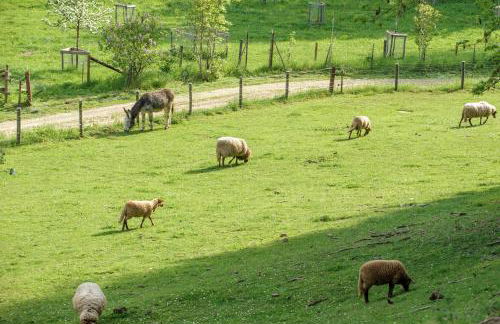 Nengshof Ferienhäuser Sonnenblume und Heublume - Foto 73
