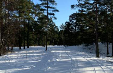 Pogodny domek Kopalino z balią - Foto 26