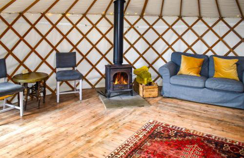 Russet Yurt - Ukc6945 - Foto 3