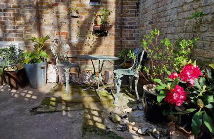 Private studio New Cross patio garden - Foto 2