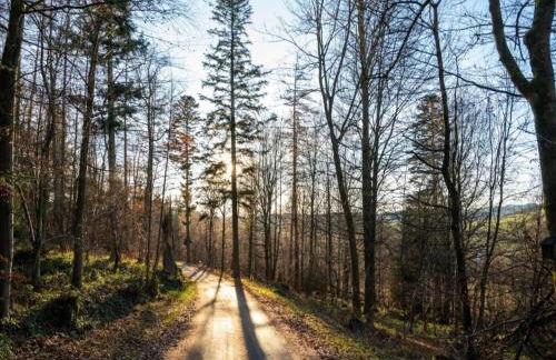 Ferienwohnung in Madfeld - Foto 66