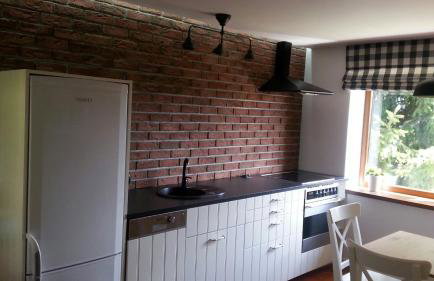 Dom Grabowa z sauną , podgrzewanym basenem i balią z hydromasażem - Foto 12