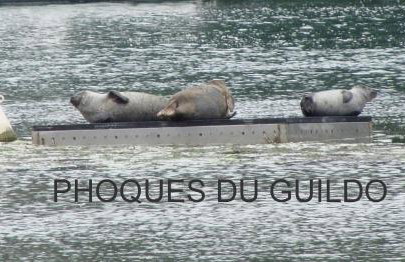 LE COCON de MATIGNON Gîte 4 étoiles 5 kms mer - Foto 42