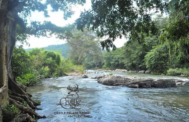 Castle palace kandy - Foto 27
