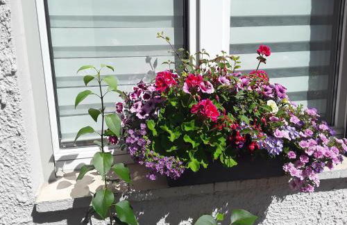 Ferienwohnung Weiland 55qm - Foto 15