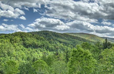 Ridgescapes - Foto 63