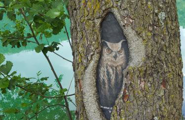 Masetto Egidio Eco-Agritur - Foto 36