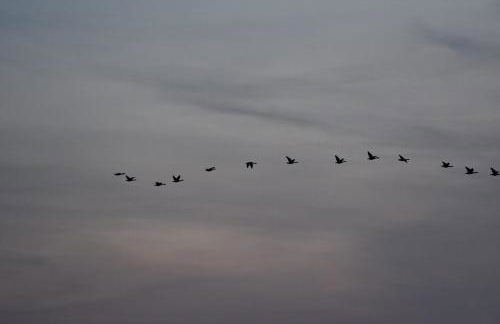 Ferienwohnung Boddenliebe - Foto 38