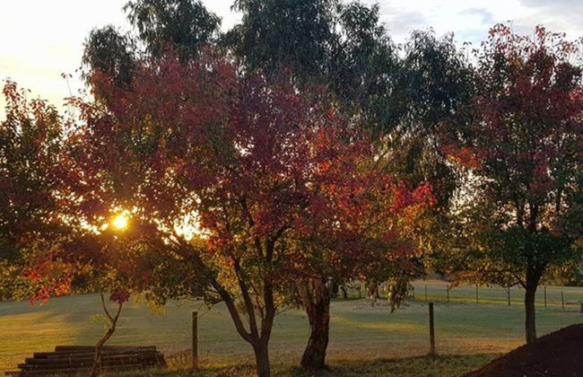 Jilly Park Farm Interactive Experience - Foto 19