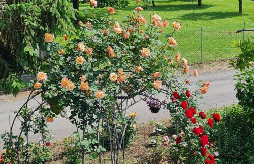 A casa di Albino e Giovannina - Foto 11