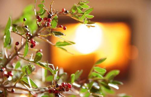 Archontiko Manias - Photo 51