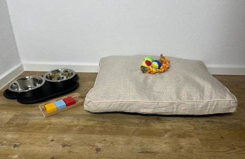 Hinterhaus am Stadtrand Chemnitz - Foto 16