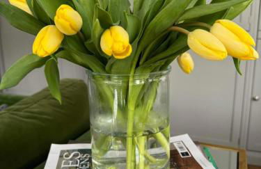 Glenesk No 1 , Woodhall Spa - Foto 34