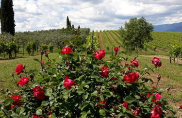 La Vecchia Quercia - Foto 23