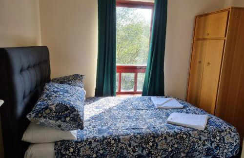 Carnarvon Street City Centre Apartment - Foto 11