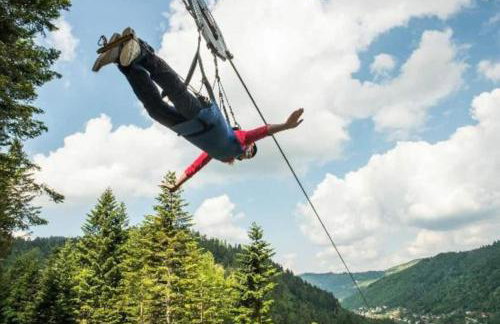 RELAX CHALET Nature Retreat - isolé sur 3 hectares - confort de LUXE - maison entière 150m2 - près de La Bresse - Foto 53