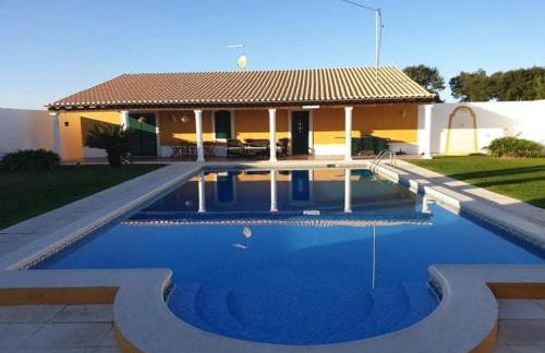 Família Gaiolas - Foto 19