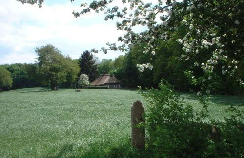 Holiday Home Hirtenkate Apartment 1 - Foto 23