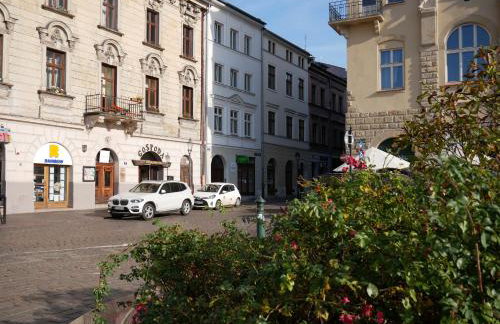 Ermine Suites - Photo 46