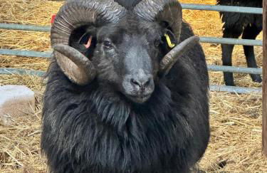 Bonnie Brae Croft Bothies - Foto 46