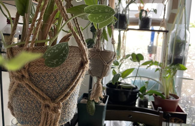 Large 1-bed Studio in London Well Equipped - Foto 17