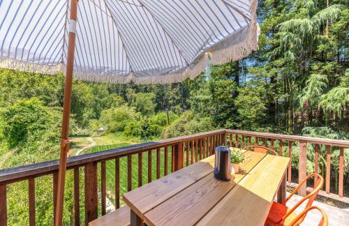 Point of View - Foto 9