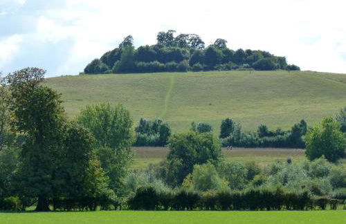 Didcot- Private Flat with Garden & Parking 04 - Foto 23