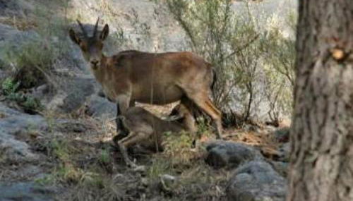 Casa las tres Conchas (2) - Foto 3