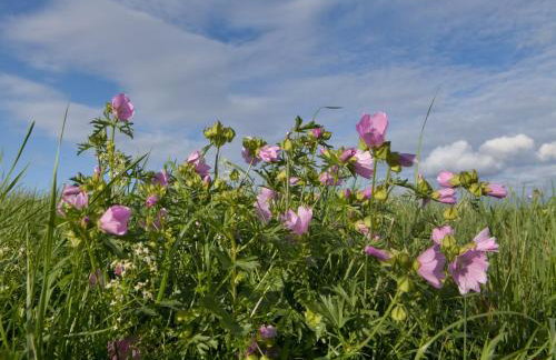 Romantic apartment in Hambachtal Holiday Park - Foto 67