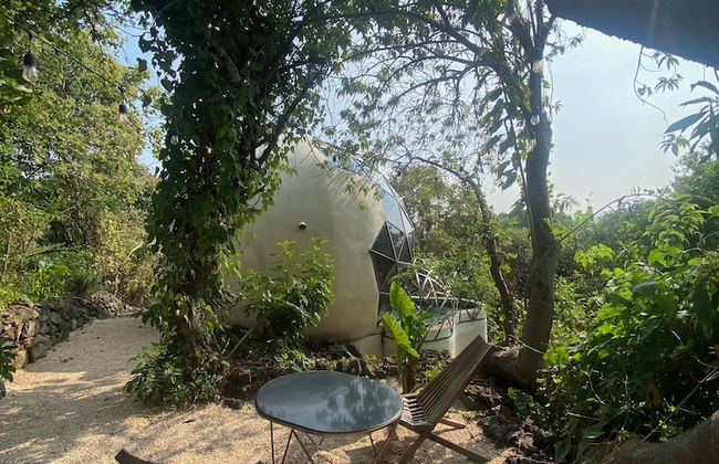 Bosque Geométrico - Foto 40