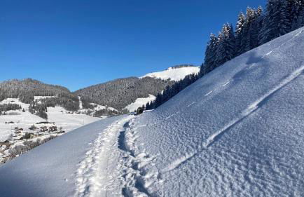 Chalets Savoie Les chalets d'Heidi - Photo 21
