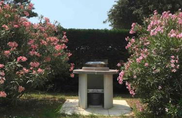 Petit paradis - Foto 15