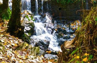 Alojamiento La Fuente - Foto 34