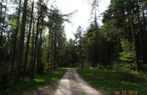 Zur Scheune - Foto 34