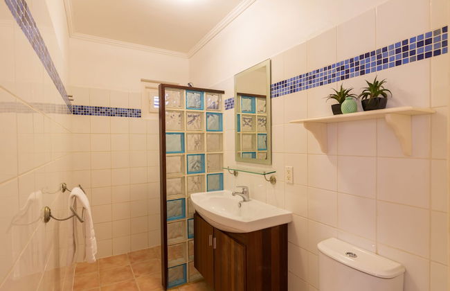 Blachi Koko Apartments Bonaire - Foto 25