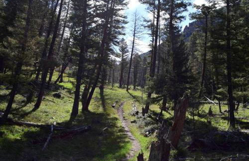 Scenic Vacation Cabin with 360° Mountain Views near Yellowstone National Park in Madison River Valley, Montana - Foto 25
