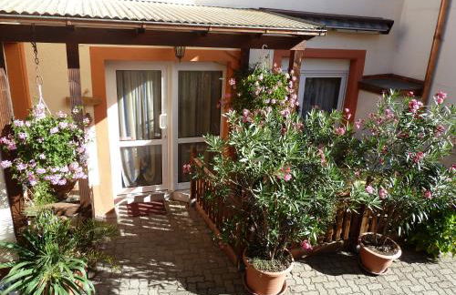 Ferienwohnung Vino Palatina - Foto 17